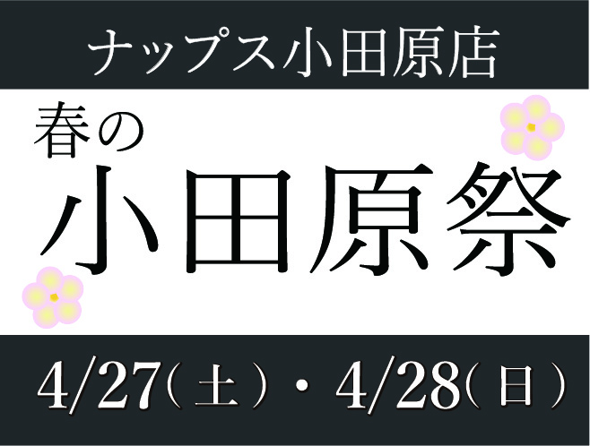 ナップス小田原店 春の小田原祭