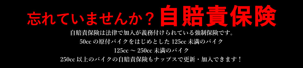 忘れていませんか？自賠責保険