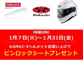 KAMUI-3をご購入の方に数量限定でピンロックシートをプレゼント！